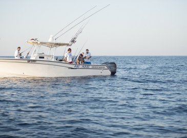 Fishing