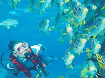 Snorkeling